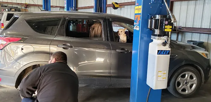 Thoroughbred Motors 4