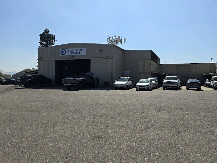 Thoroughbred Motors 7