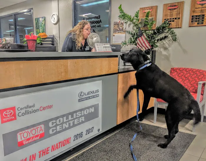 Toyota Carlsbad Collision Center 6