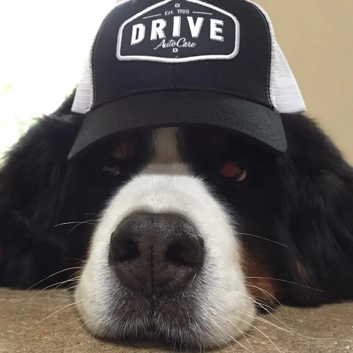 DRIVE AutoCare (Smog Depot) 2
