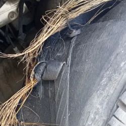 Tires 4 Less ico