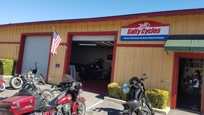 Salty Cycles 1
