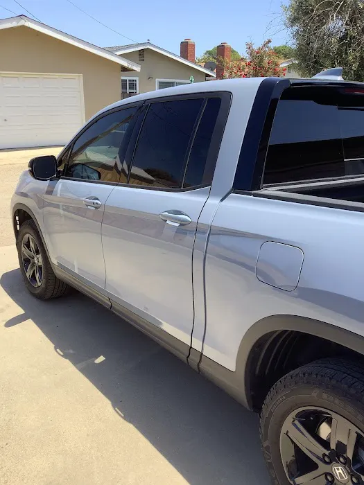 Pro Tint 0