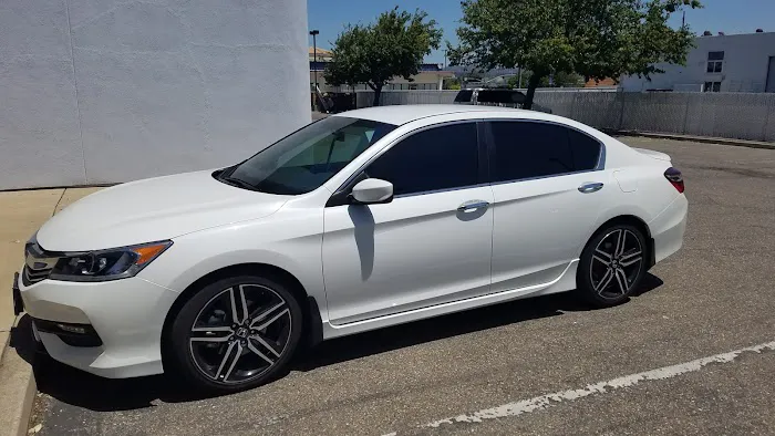 Pro Tint 7