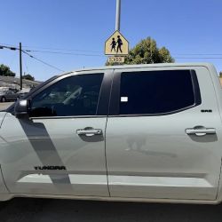 Lewys Cool Tints & Mobile Car Detailing Service ico