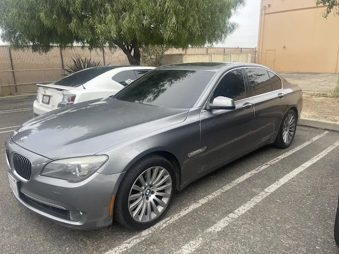 Show Off Tint 7