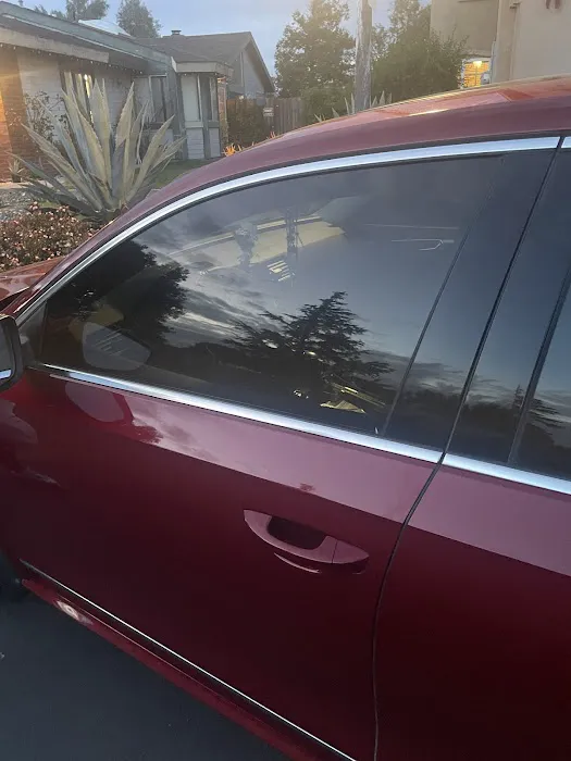 Show Off Tint 6