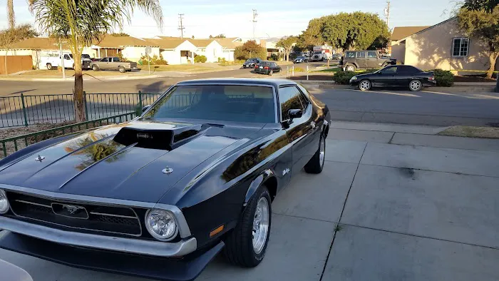Show Off Tint 8