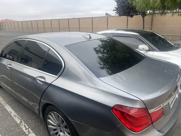 Show Off Tint 2