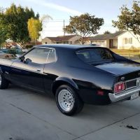 Show Off Tint