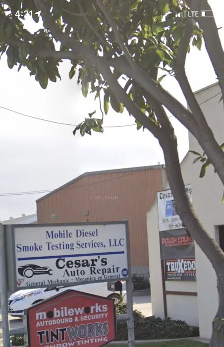 Mobile Diesel Smoke Test Services LLC 3