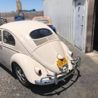 German Werks Automotive