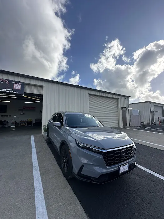 AR Tints 1