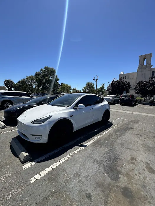 AR Tints 7