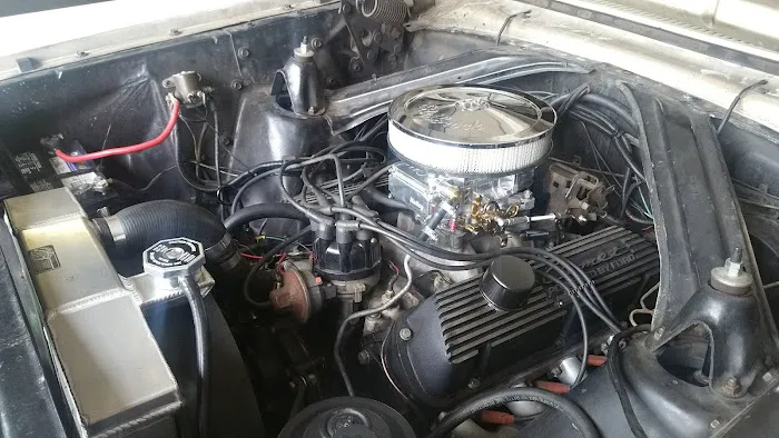 Vintage Mustang 0