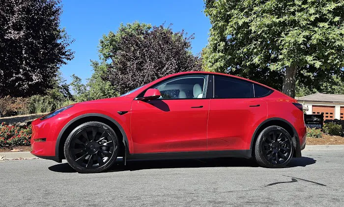 Roman's Tint & Detail 7