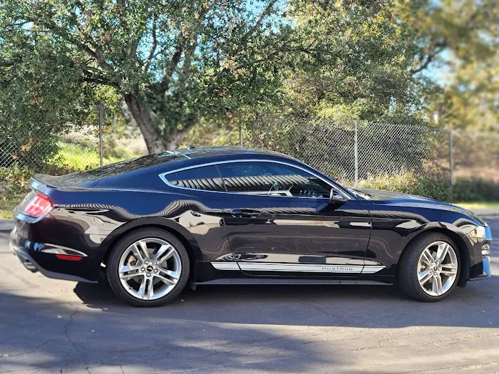 Roman's Tint & Detail 9