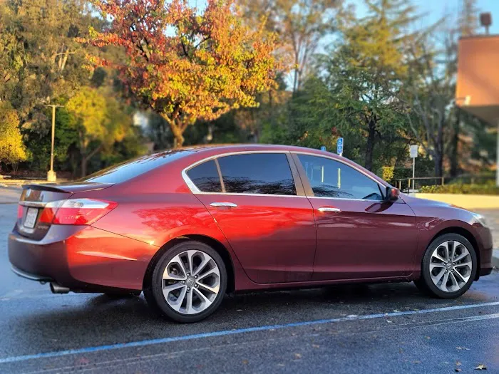 Roman's Tint & Detail 2