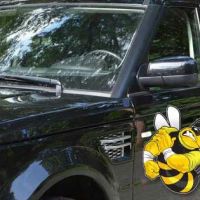 Mr B’s Auto Glass