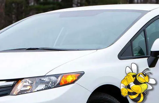 Mr B’s Auto Glass 5