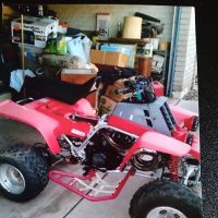 Toomey Racing USA