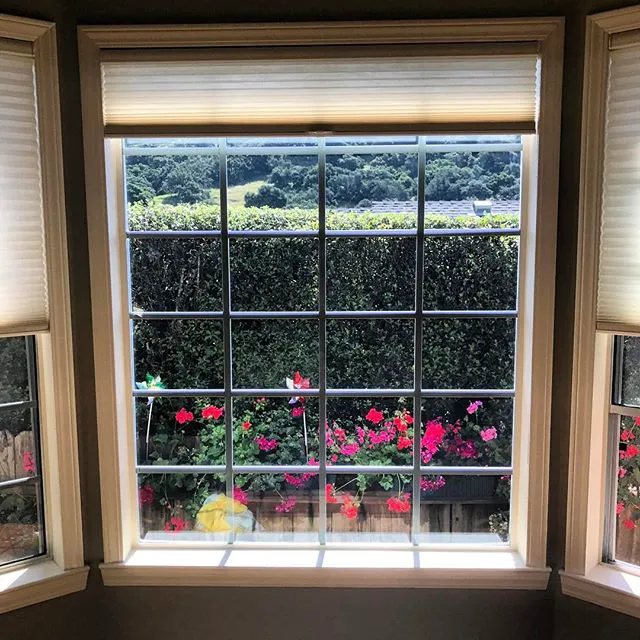 San Luis Customs 3M Window Film 0