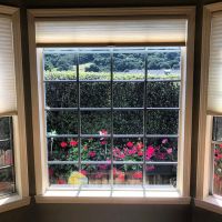 San Luis Customs 3M Window Film