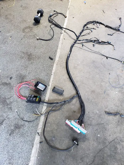 lsxharness 6