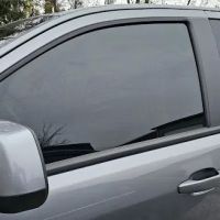 Tinted Visions