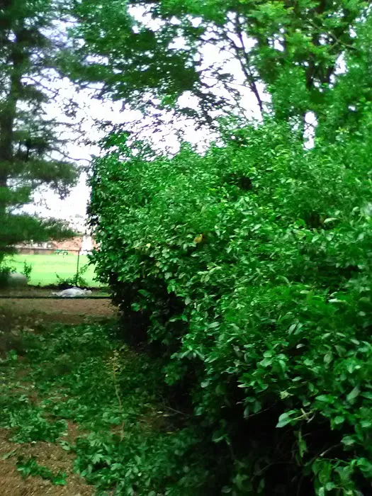 JAE Enterprises Inc 0