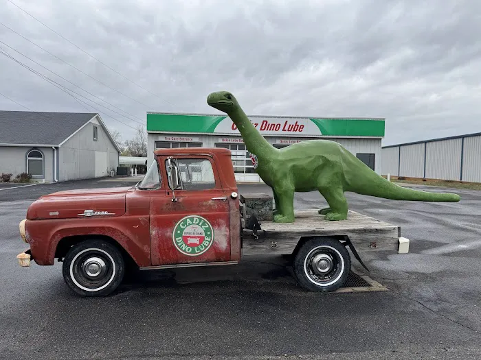 Cadiz Dino Lube 5