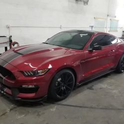 SunArmor Window Tinting - Paris ico