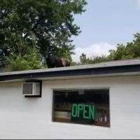 Coopers' Auto Parts