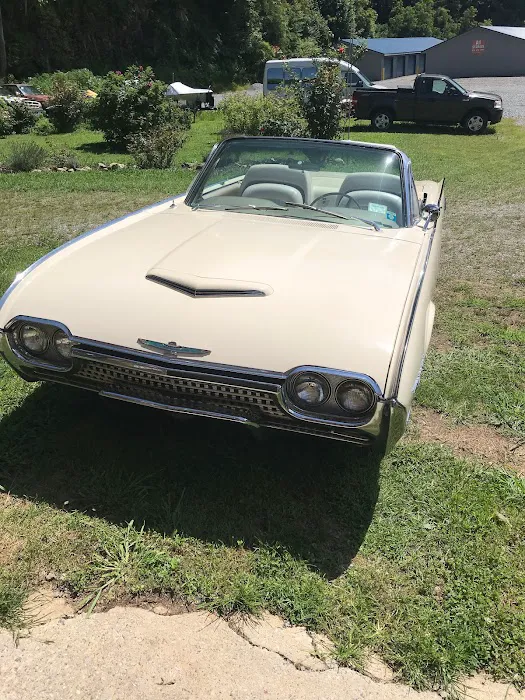 Blue Ridge Guild Restorations 2