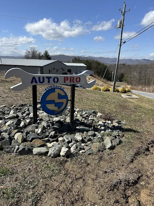 Auto Pro 5