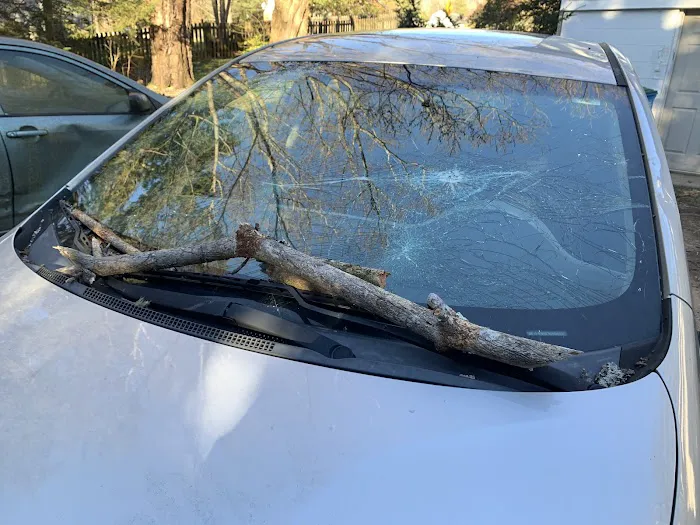 Auto Glass Now 6