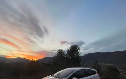 Worley Tint Solutions