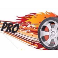 Professional Tire Service Of Laurens