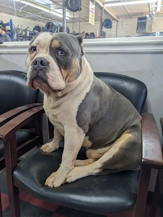 Bill's Tire Center 6