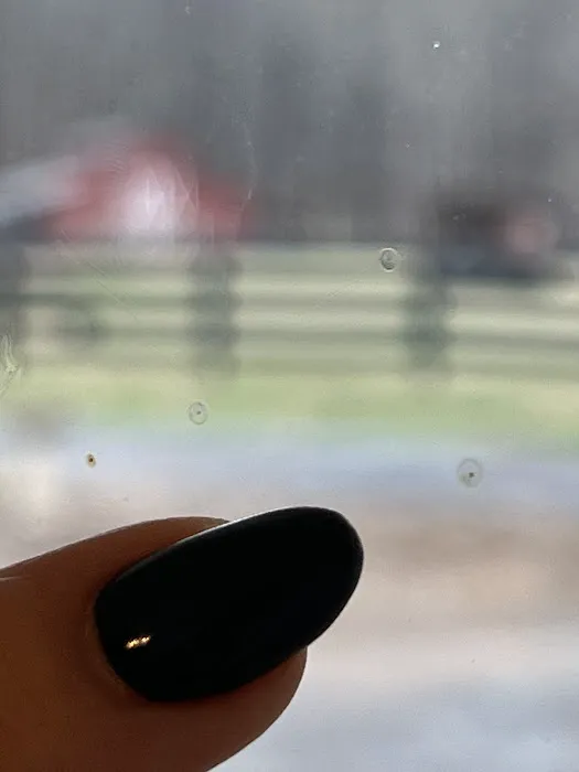 Sunscreen Glass Tinting 0