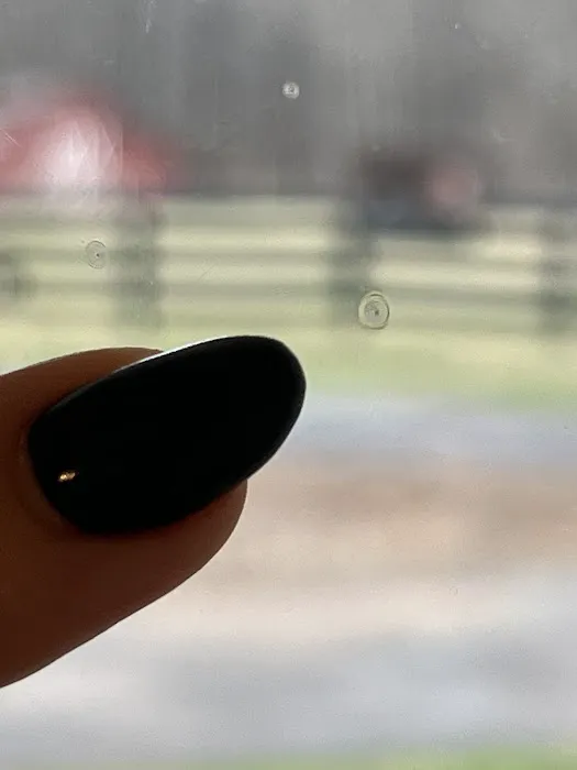 Sunscreen Glass Tinting 2