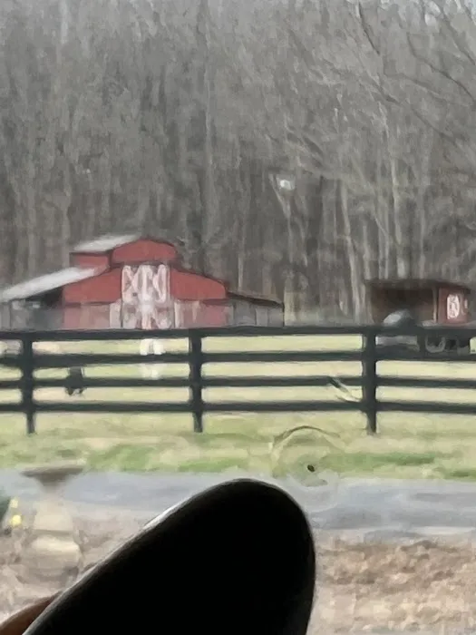 Sunscreen Glass Tinting 3