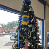 NAPA Auto Parts - Anderson Main
