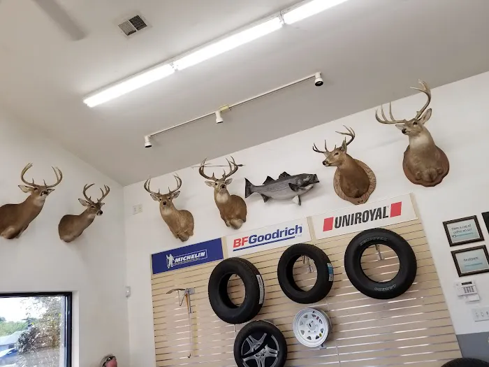 Piedmont Tire Company 0