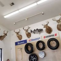 Piedmont Tire Company
