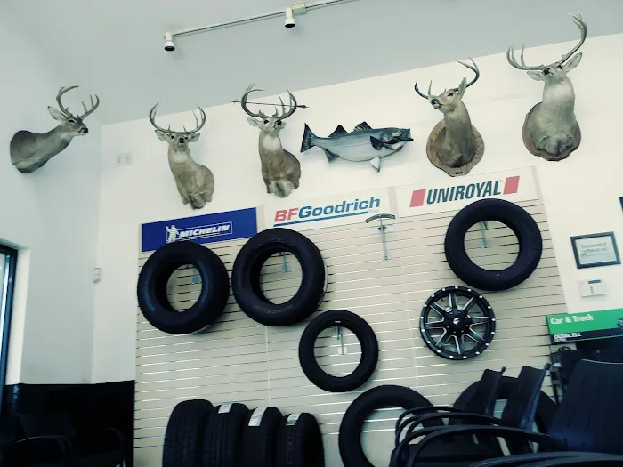 Piedmont Tire Company 6