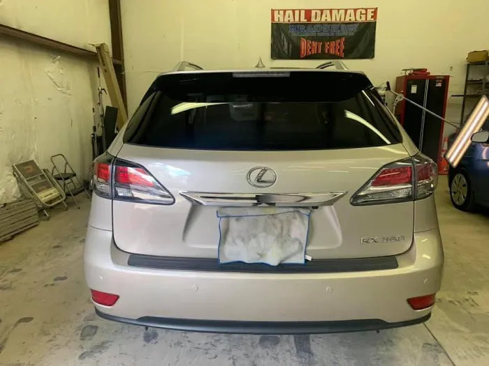 Dent Free 6