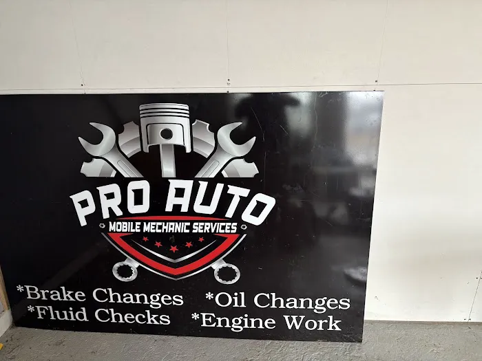 Pro auto mobile mechanic services 0