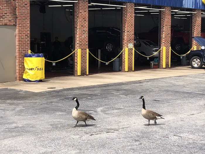 Goodyear Auto Service 7