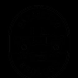 Palmetto Broncos ico